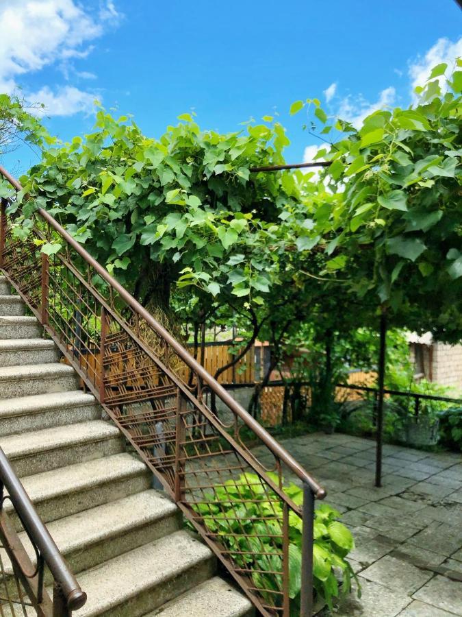 Achela'S Guesthouse 博尔若米 外观 照片