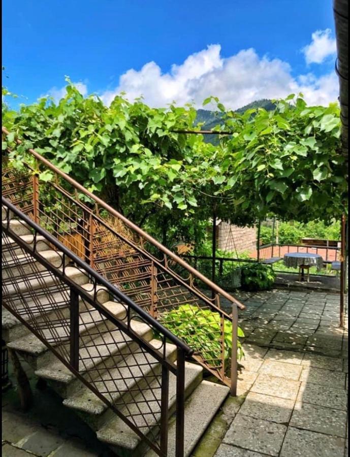 Achela'S Guesthouse 博尔若米 外观 照片