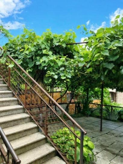 Achela'S Guesthouse 博尔若米 外观 照片