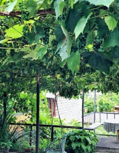 Achela'S Guesthouse 博尔若米 外观 照片