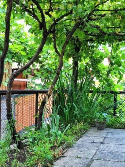 Achela'S Guesthouse 博尔若米 外观 照片